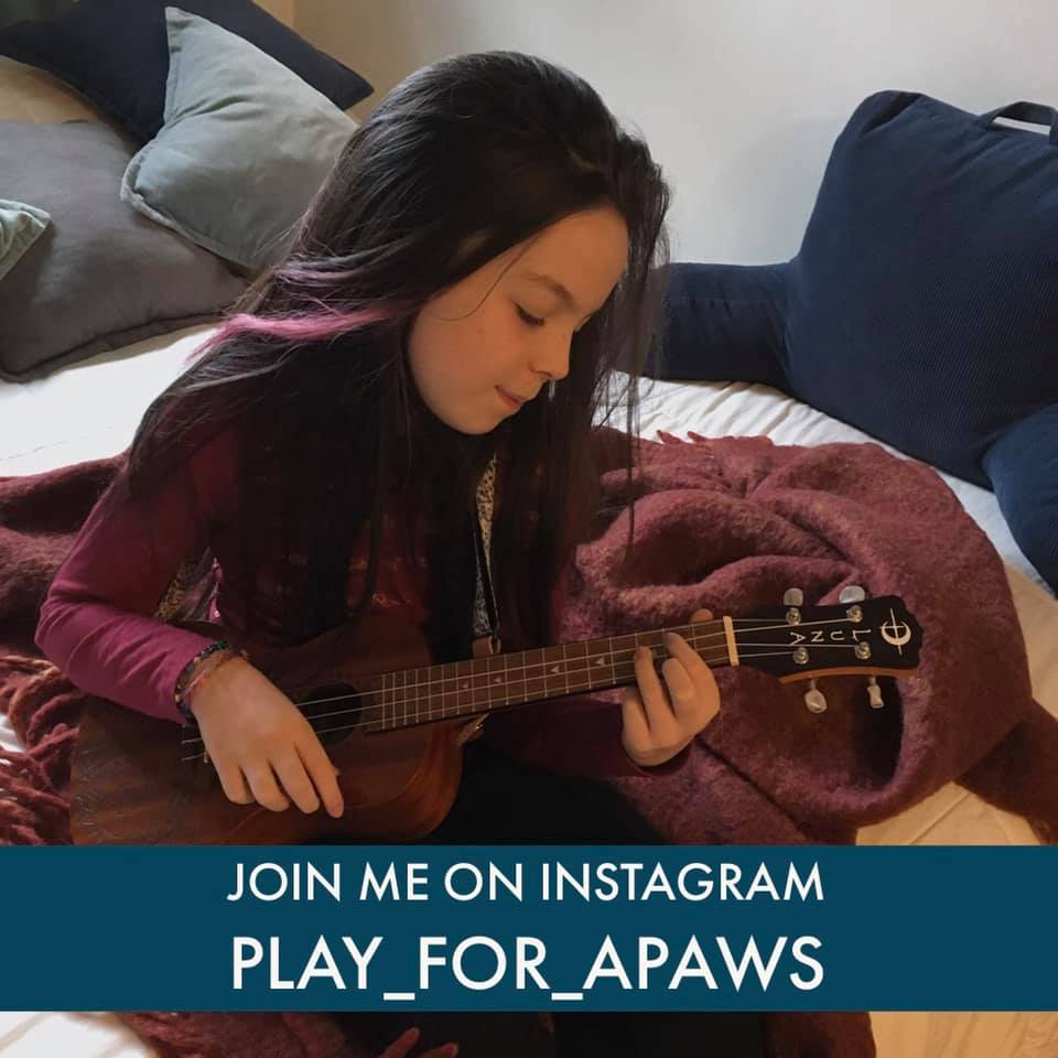 Play for Apaws